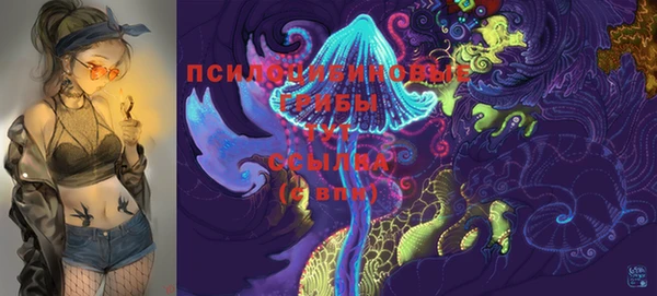 ешки Алексин