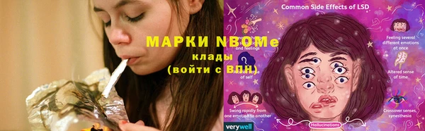 ешки Алексин